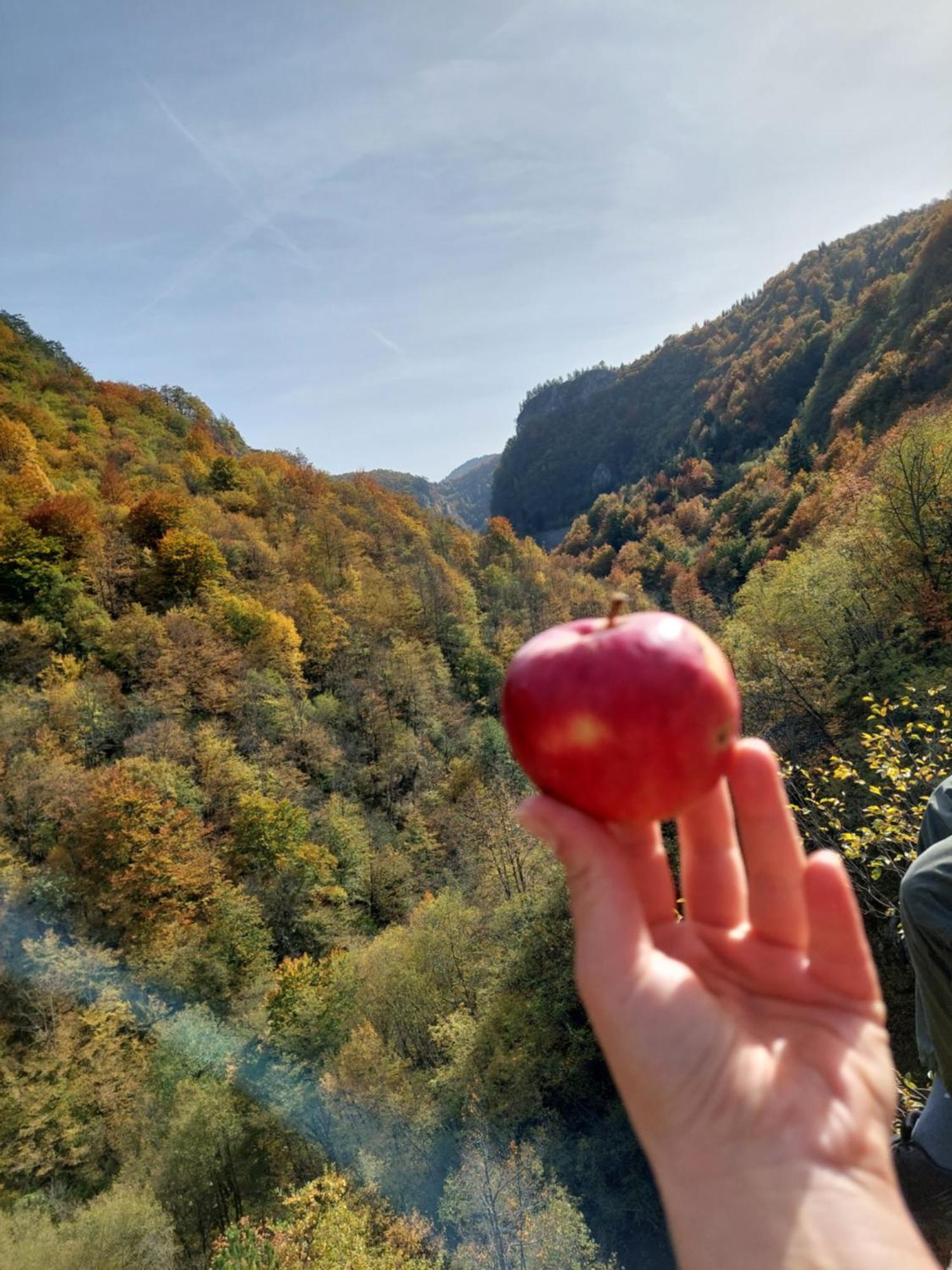 Willa Carobna Kuca Jahorina Zewnętrze zdjęcie